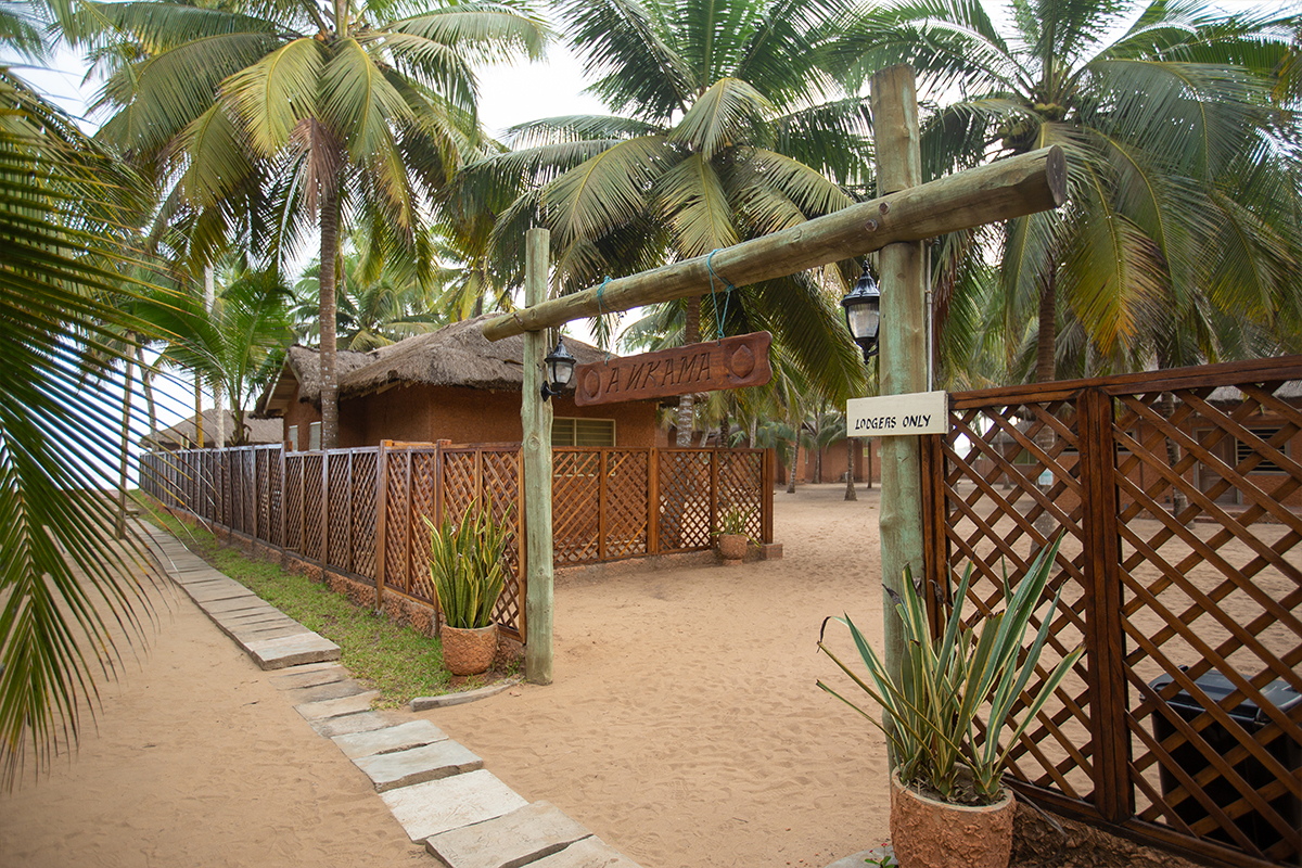 Beach chairs under palm trees